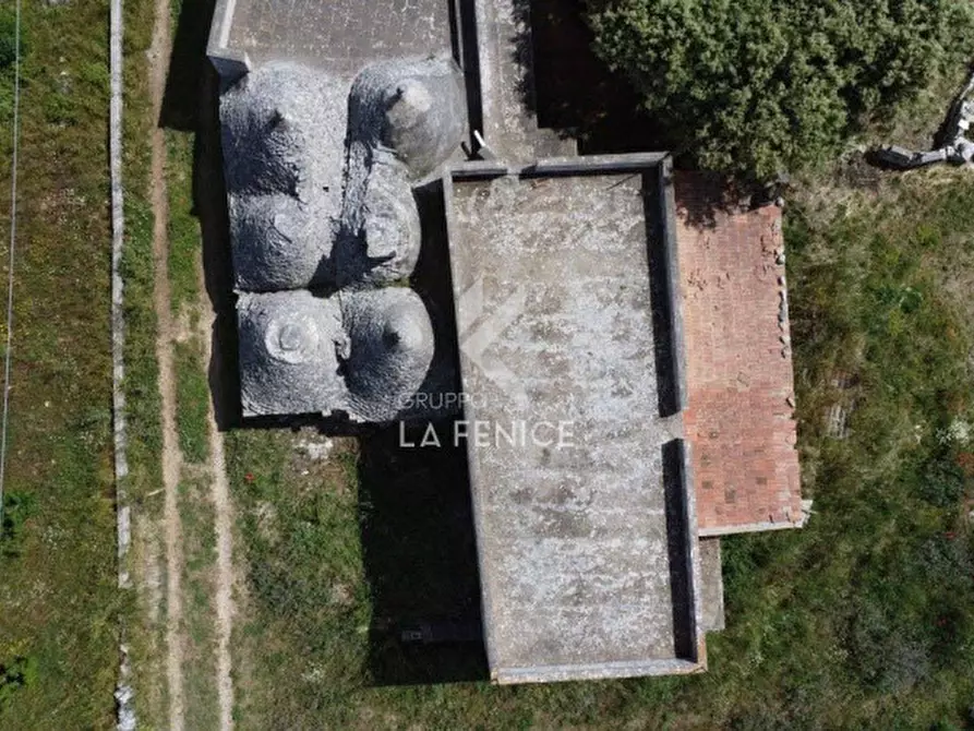 Immagine 7 di Rustico / casale in vendita  in contrada capo di gallo a Martina Franca
