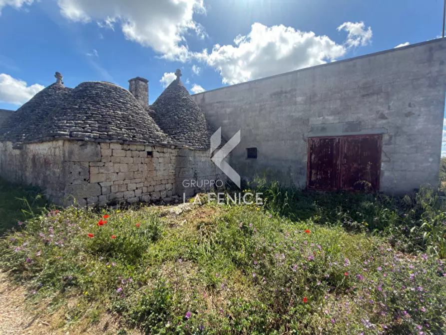 Immagine 8 di Rustico / casale in vendita  in contrada capo di gallo a Martina Franca