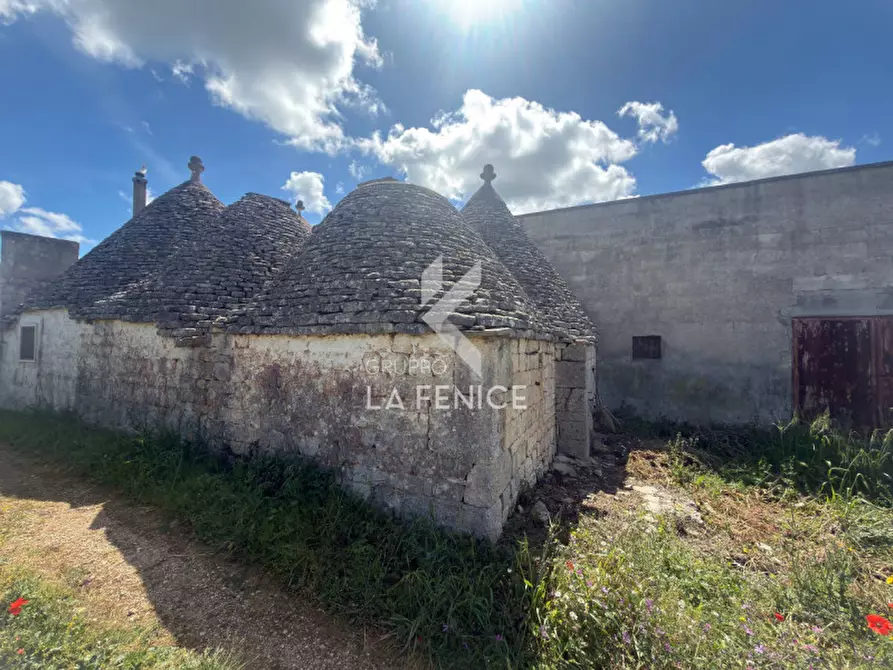 Immagine 9 di Rustico / casale in vendita  in contrada capo di gallo a Martina Franca