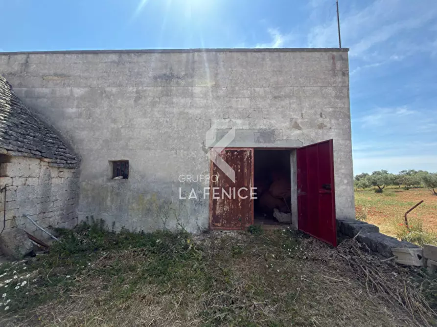 Immagine 11 di Rustico / casale in vendita  in contrada capo di gallo a Martina Franca