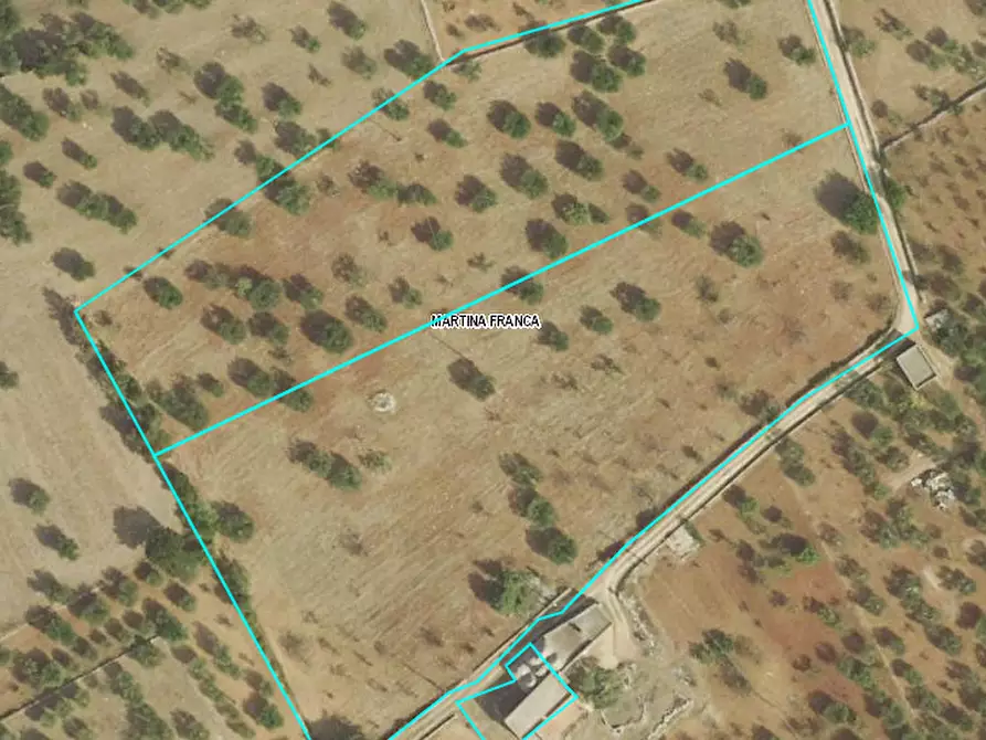 Immagine 31 di Rustico / casale in vendita  in contrada capo di gallo a Martina Franca
