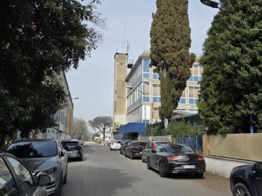 Immagine 21 di Villa in affitto  in via maresca a Roma