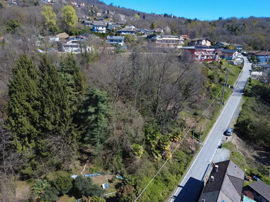 Immagine 6 di Terreno in vendita  in via alle motte a Vignone