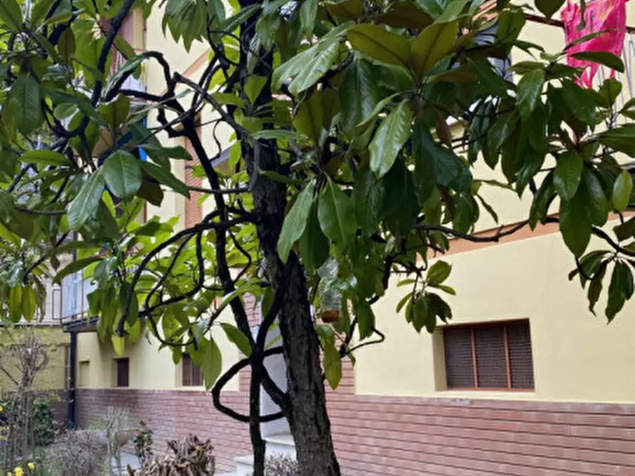 Immagine 6 di Appartamento in vendita  in Via dello Sport a Sasso Marconi