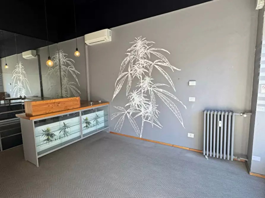 Immagine 4 di Negozio in affitto  in Via Edoardo Bassini a Milano