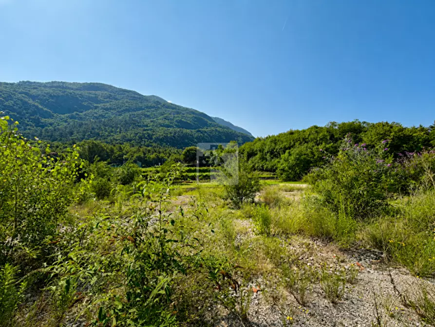 Immagine 2 di Terreno in vendita  in Via Stoppani a Vallelaghi