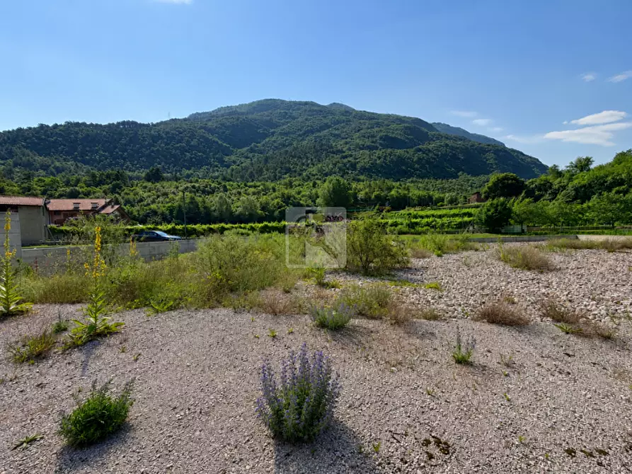 Immagine 3 di Terreno in vendita  in Via Stoppani a Vallelaghi