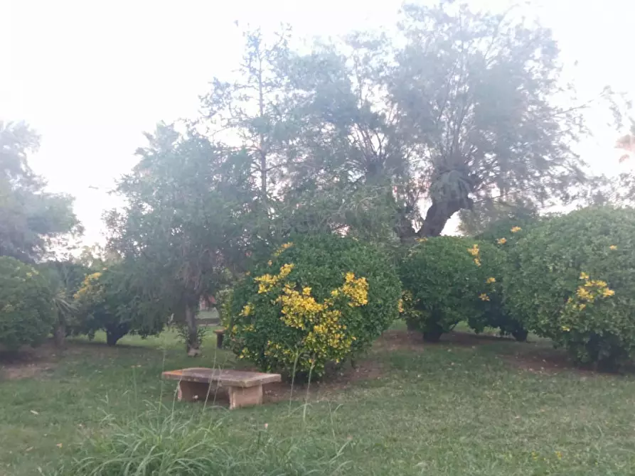 Immagine 9 di Appartamento in affitto  in via Italica a Montesilvano