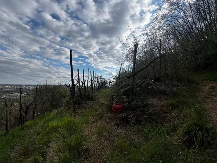 Immagine 2 di Terreno in vendita  in Via Pietro Mascagni a Botticino