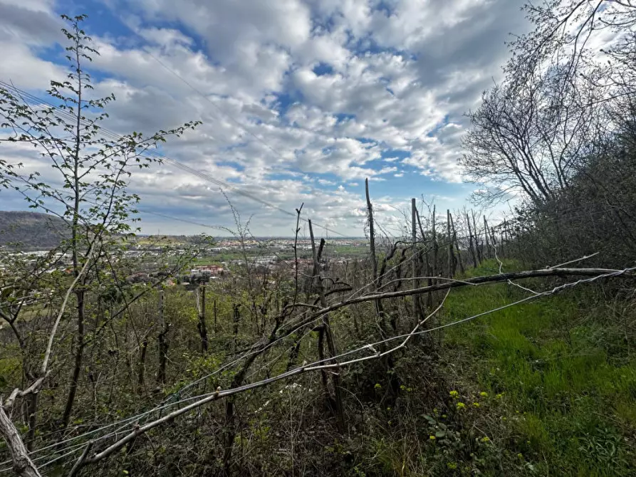 Immagine 3 di Terreno in vendita  in Via Pietro Mascagni a Botticino