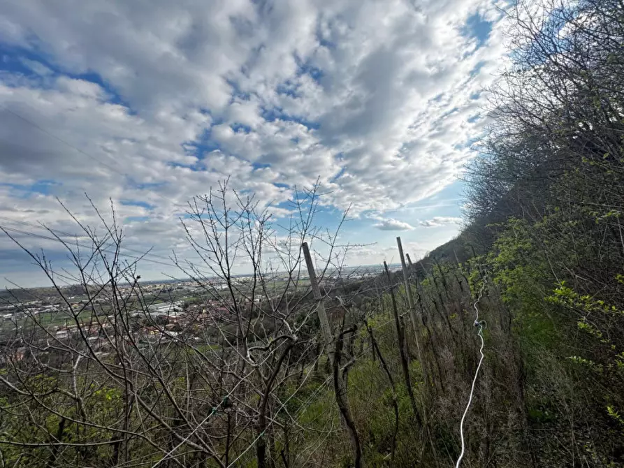 Immagine 4 di Terreno in vendita  in Via Pietro Mascagni a Botticino