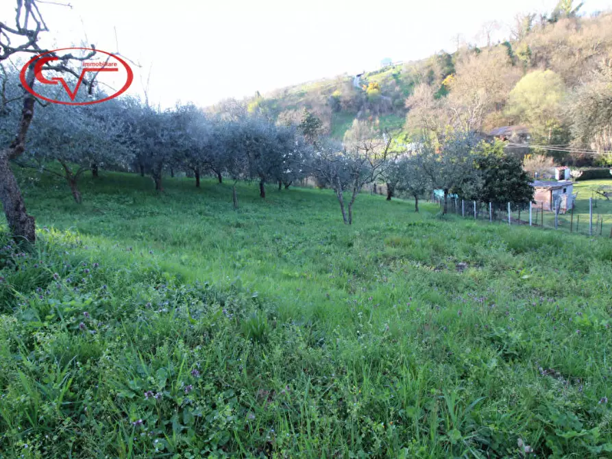 Immagine 3 di Terreno in vendita  in Via Borro della Madonna a San Giovanni Valdarno