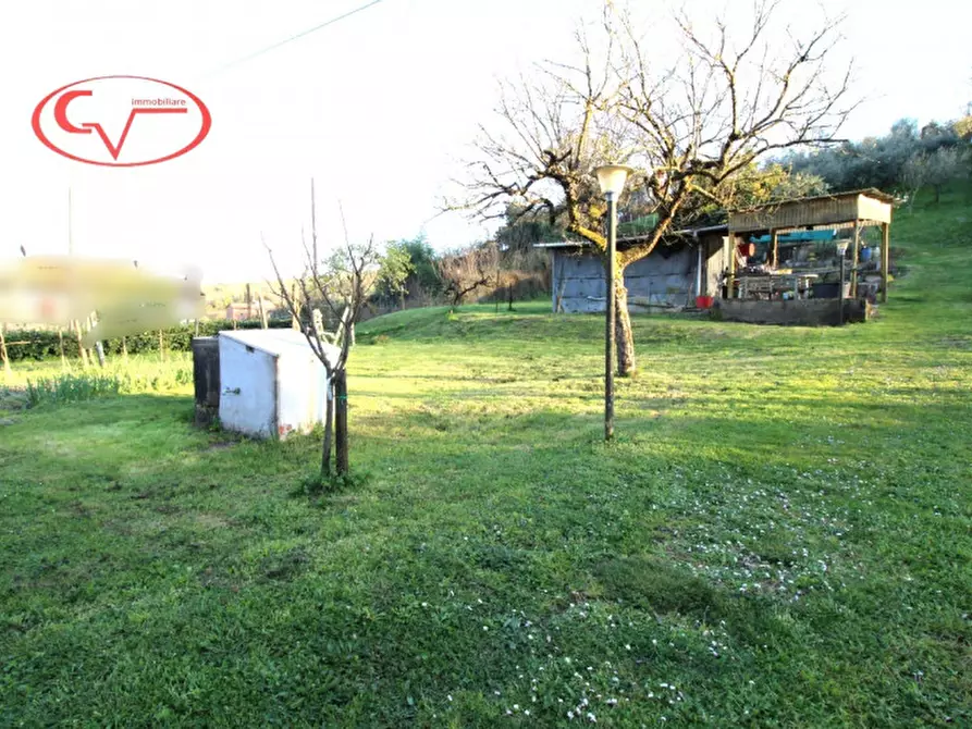 Immagine 4 di Terreno in vendita  in Via Borro della Madonna a San Giovanni Valdarno