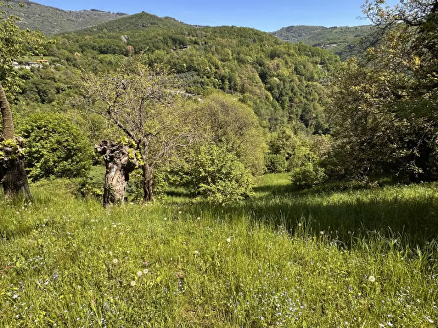 Immagine 20 di Villetta a schiera in vendita  in Via Mare 22 a Lugo Di Vicenza