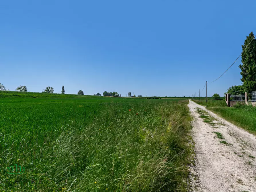 Immagine 19 di Attività commerciale in vendita  in Via Cacciatori a Crevalcore