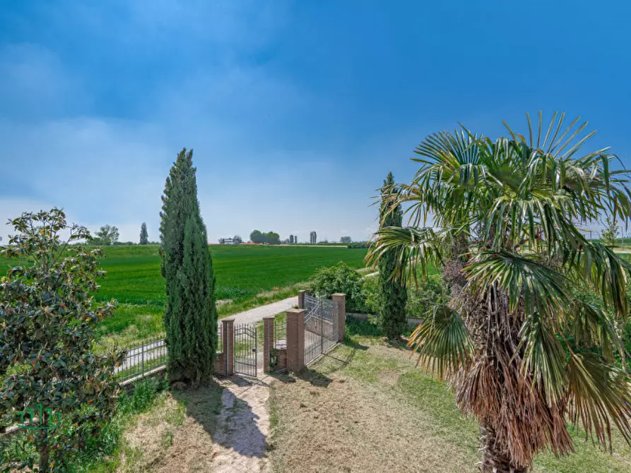 Immagine 20 di Attività commerciale in vendita  in Via Cacciatori a Crevalcore