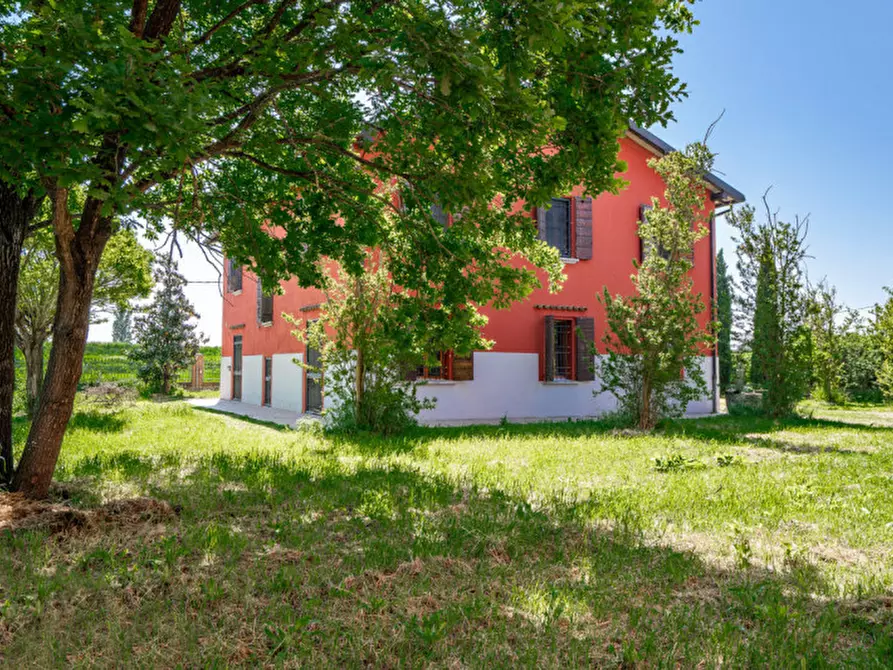 Immagine 23 di Attività commerciale in vendita  in Via Cacciatori a Crevalcore