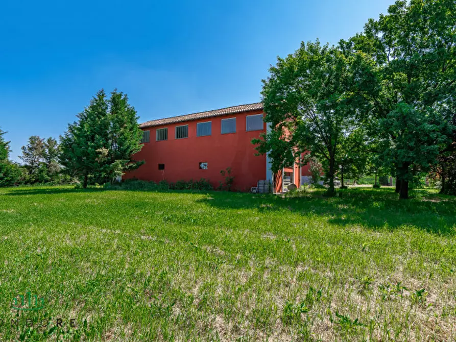 Immagine 25 di Attività commerciale in vendita  in Via Cacciatori a Crevalcore