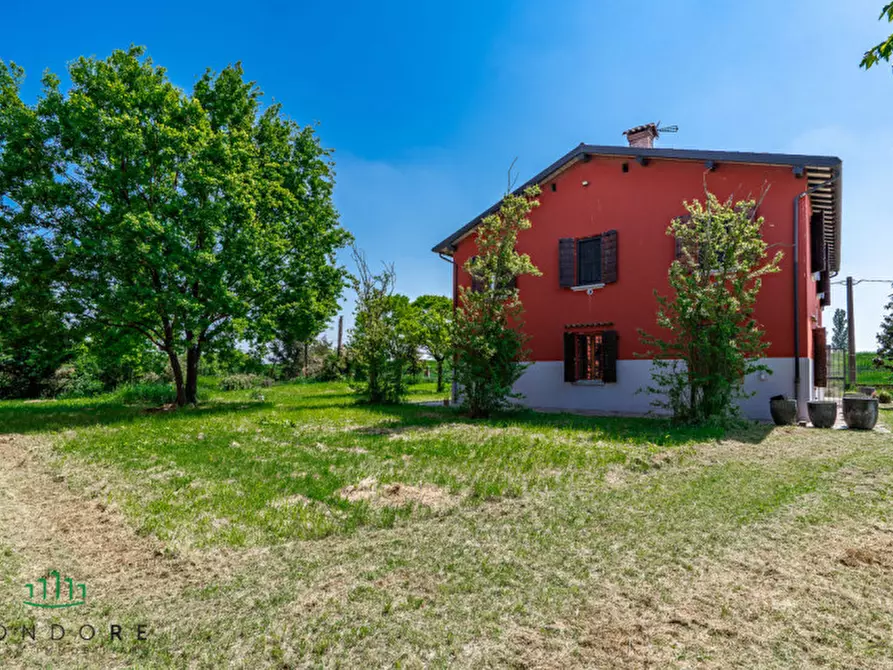 Immagine 27 di Attività commerciale in vendita  in Via Cacciatori a Crevalcore