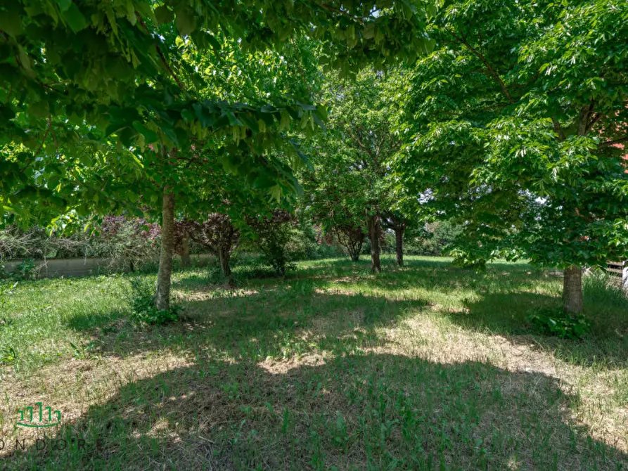 Immagine 31 di Attività commerciale in vendita  in Via Cacciatori a Crevalcore