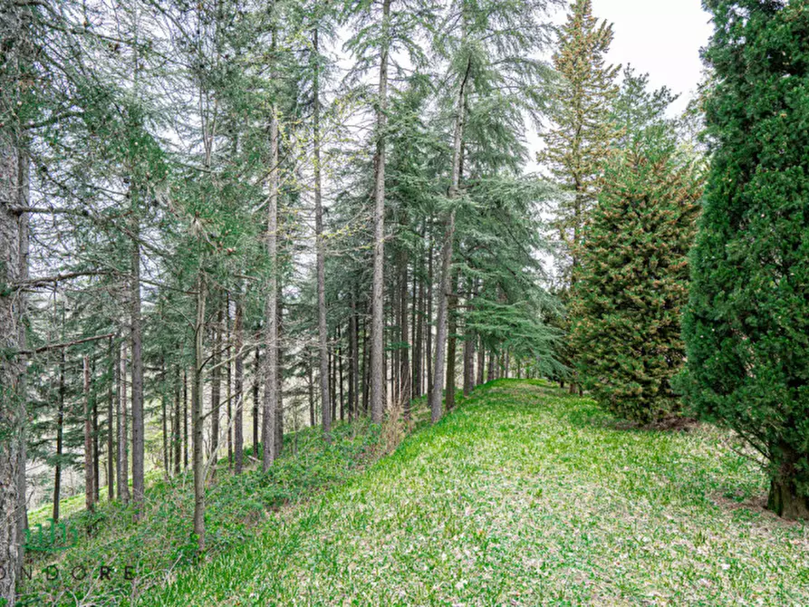 Immagine 54 di Casa bifamiliare in vendita  in via di casale 4 a Pianoro