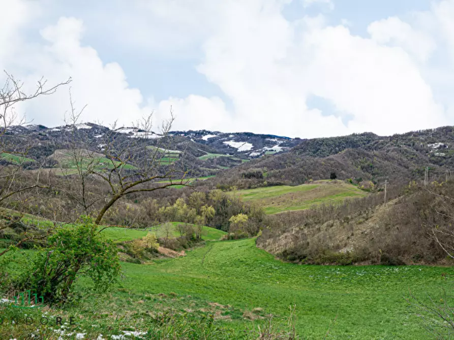 Immagine 3 di Casa bifamiliare in vendita  in via di casale 4 a Pianoro