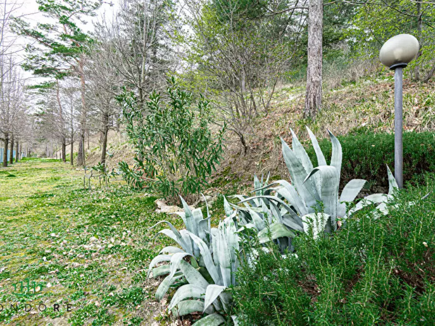Immagine 43 di Casa bifamiliare in vendita  in via di casale 4 a Pianoro
