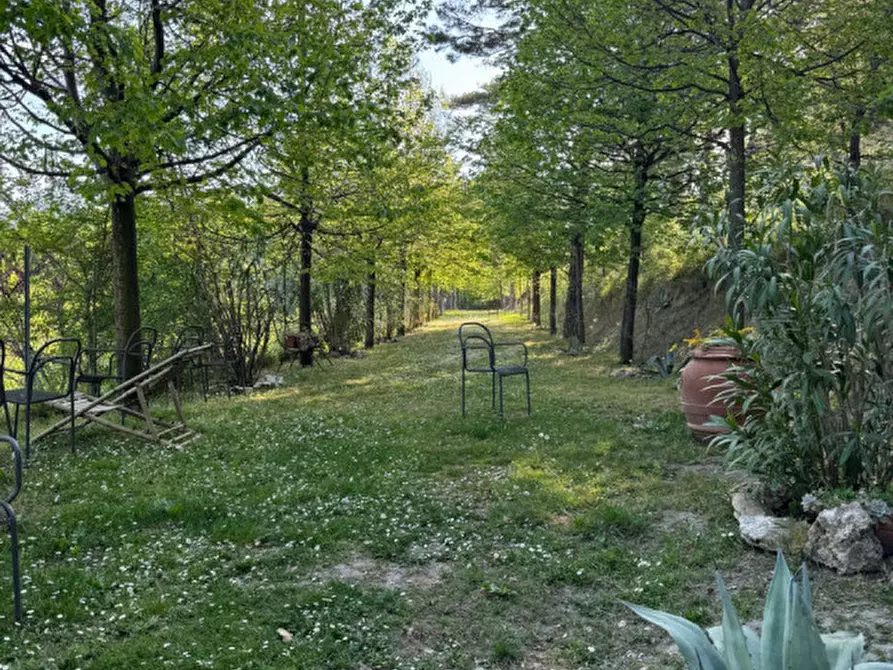 Immagine 50 di Casa bifamiliare in vendita  in via di casale 4 a Pianoro