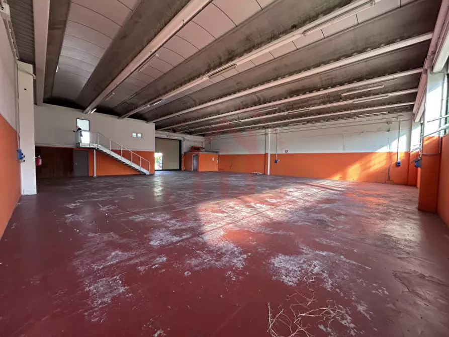 Immagine 5 di Magazzino in affitto  in Via dell'industria 2 a Montegalda