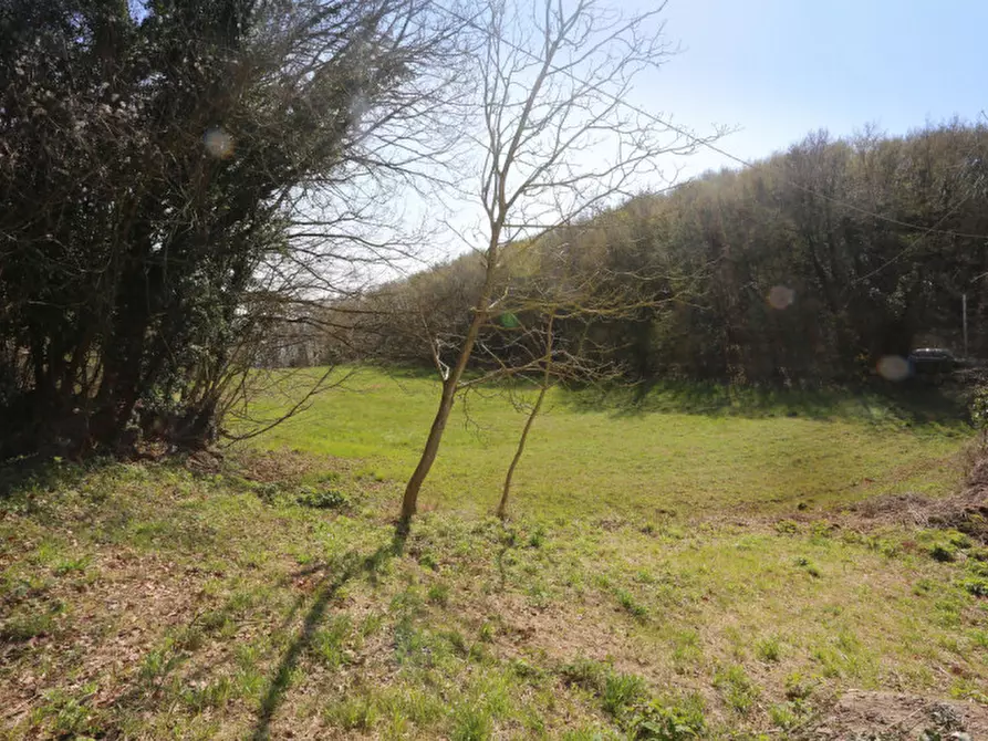 Immagine 35 di Casa indipendente in vendita  in via monti a Barbarano Mossano