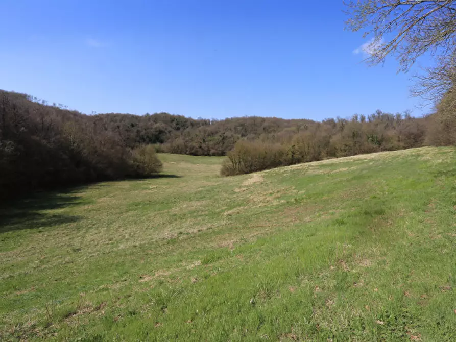 Immagine 36 di Casa indipendente in vendita  in via monti a Barbarano Mossano