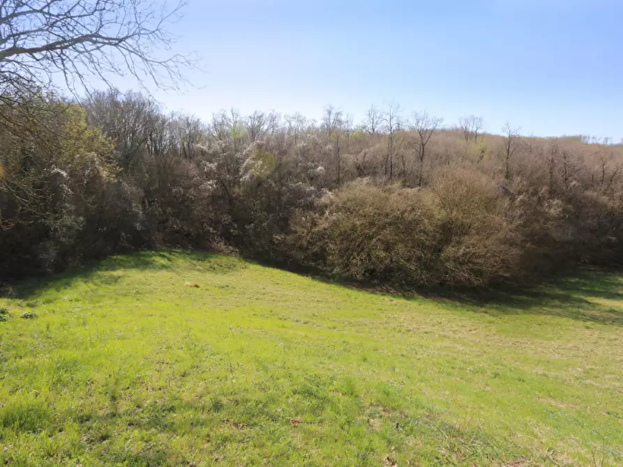 Immagine 37 di Casa indipendente in vendita  in via monti a Barbarano Mossano