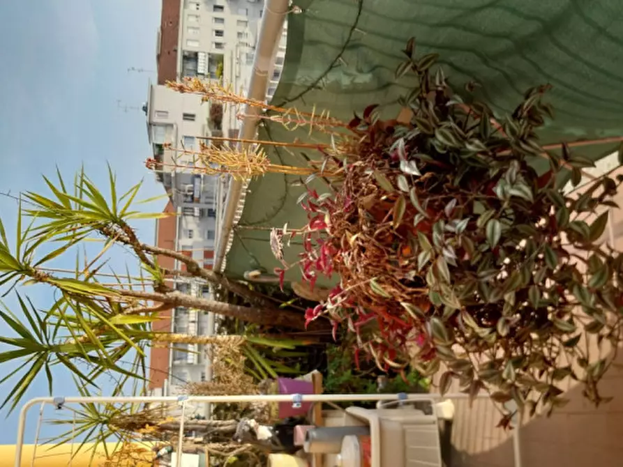 Immagine 13 di Attico in vendita  in Corso Lodi, 104 a Milano