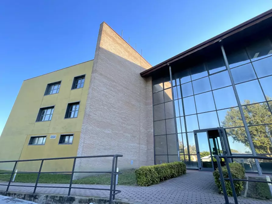 Immagine 2 di Ufficio in affitto  a Conselve