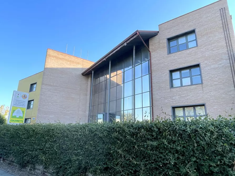 Immagine 3 di Ufficio in affitto  a Conselve