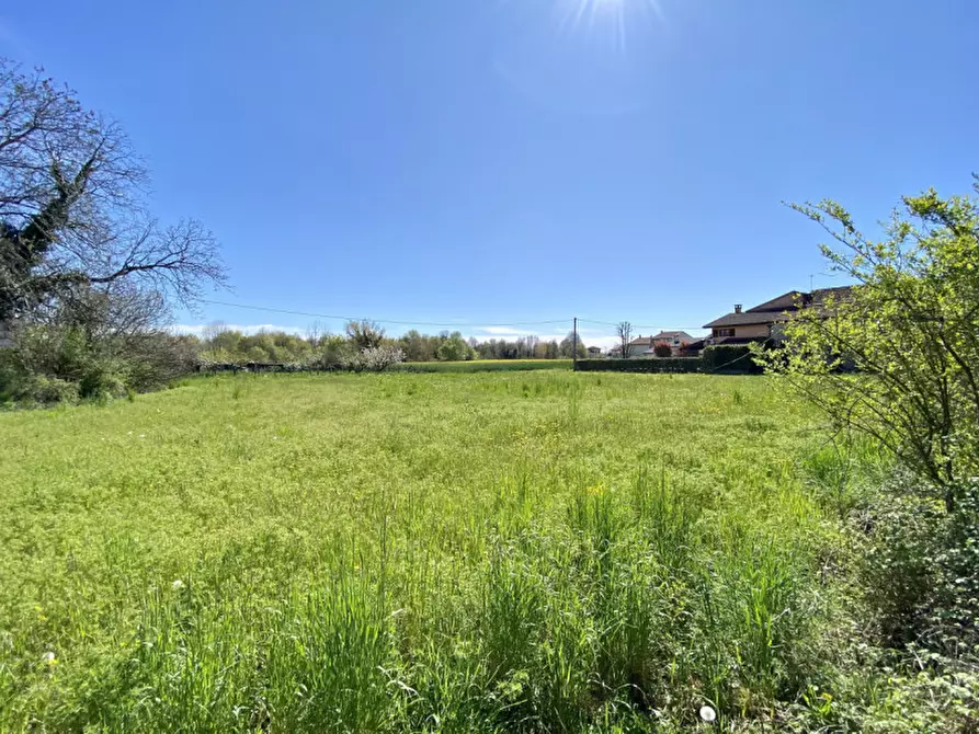 Immagine 4 di Rustico / casale in vendita  in Strada Dell'Albereria, 2 a Sandrigo