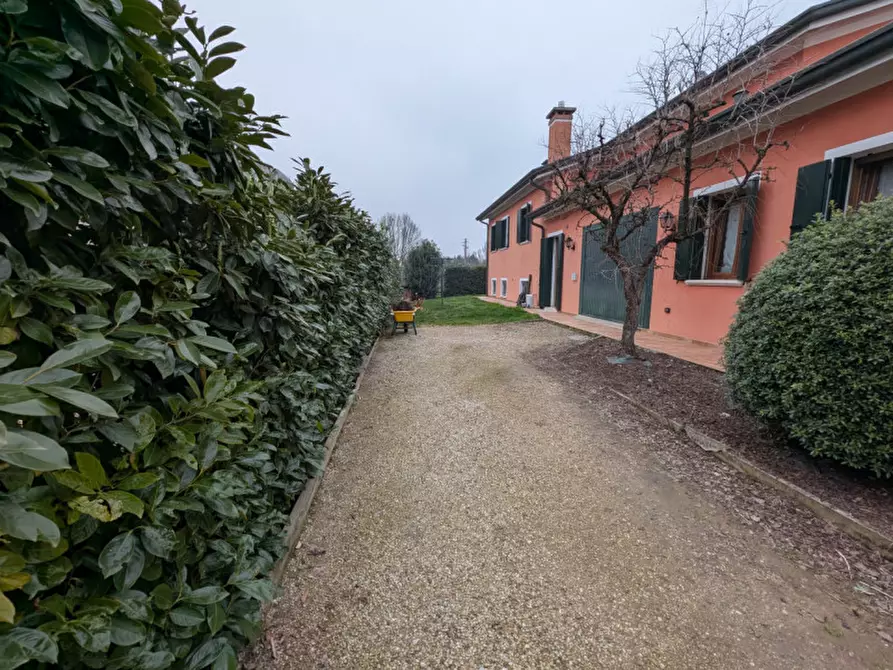 Immagine 7 di Casa indipendente in vendita  in via piave a Piombino Dese