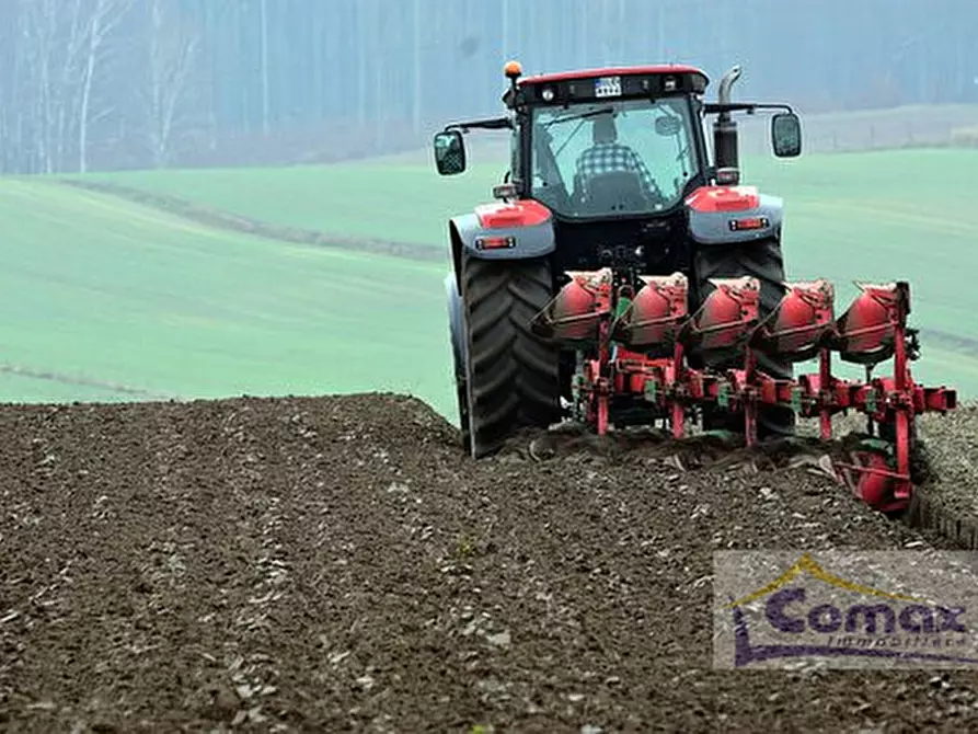 Immagine 3 di Terreno in vendita  in Via San Basilio a Ariano Nel Polesine