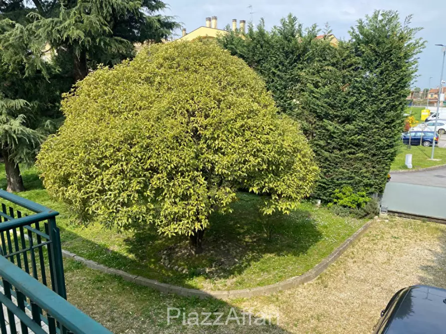 Immagine 37 di Villa in vendita  in Via Carducci a Cona