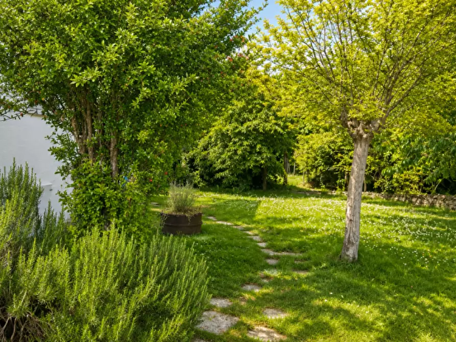 Immagine 9 di Villa in vendita  in Via dei Prai 8 a Borso Del Grappa
