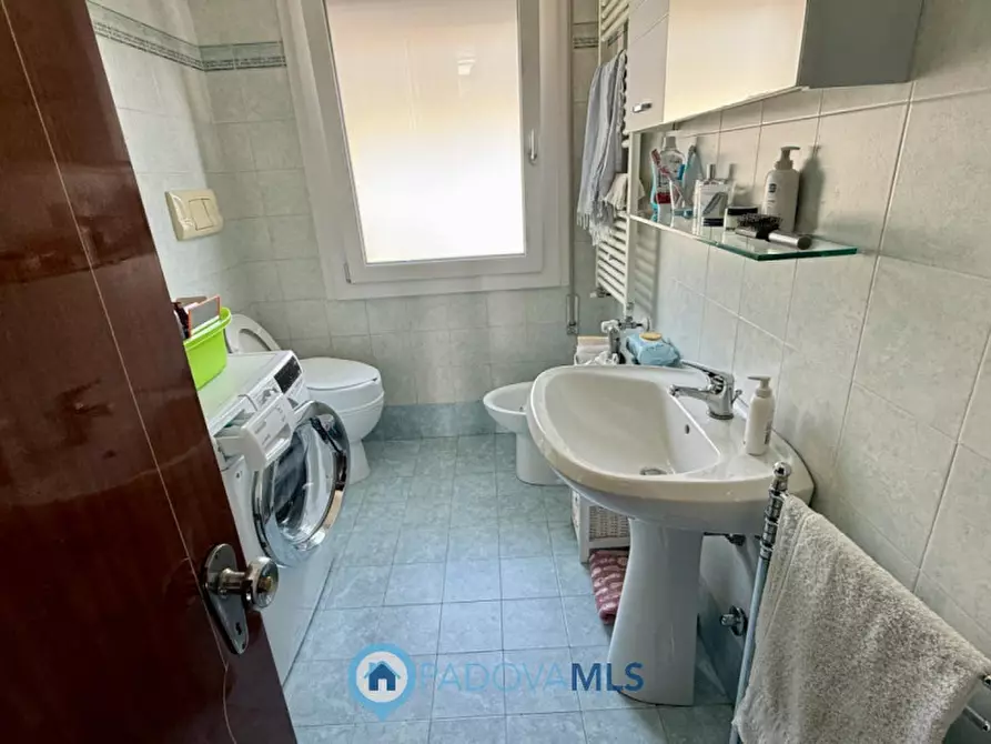 Immagine 13 di Appartamento in vendita  in via altichieri da zevio a Padova