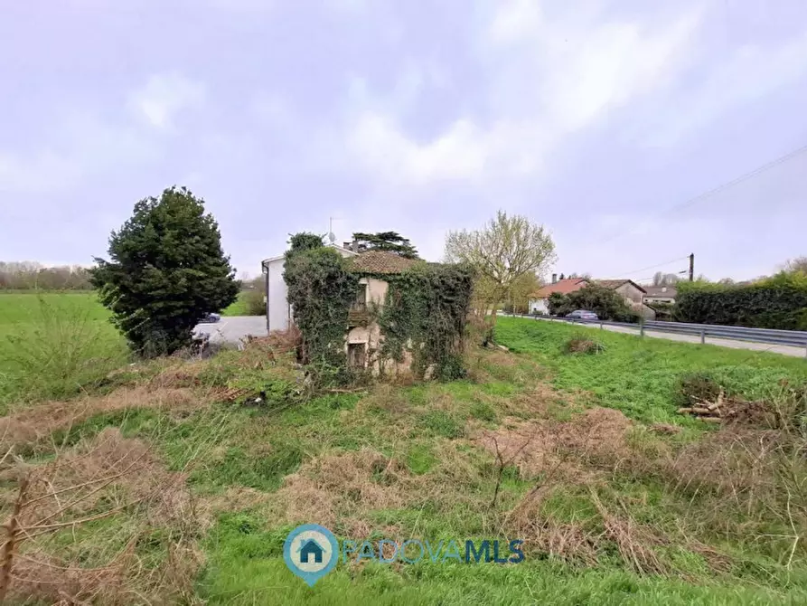 Immagine 3 di Rustico / casale in vendita  in Via Polveriera a Selvazzano Dentro