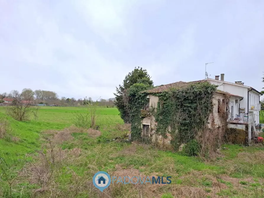 Immagine 15 di Rustico / casale in vendita  in Via Polveriera a Selvazzano Dentro