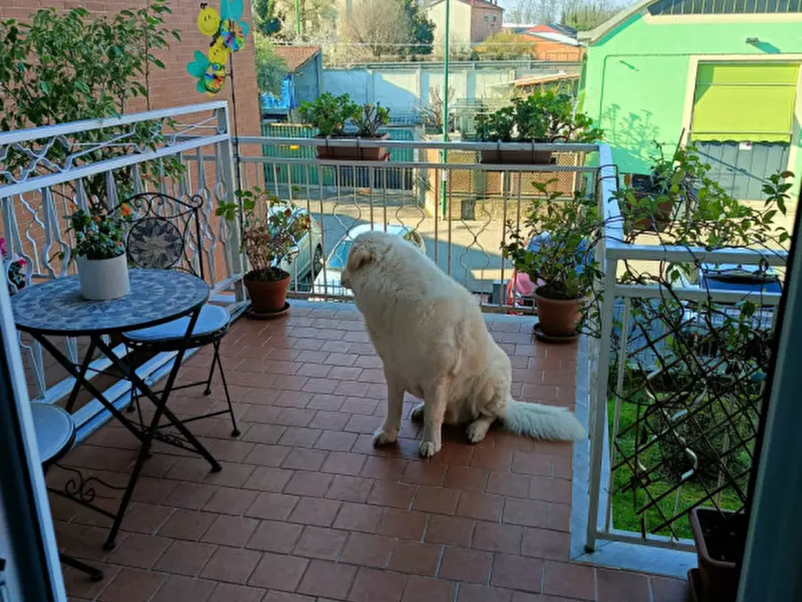 Immagine 20 di Appartamento in vendita  in Via San Lorenzo 8 a Casale Monferrato