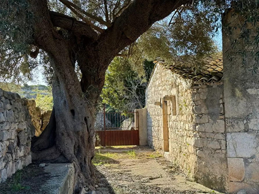 Immagine 2 di Casa indipendente in vendita  in Contrada scardacucco a Modica