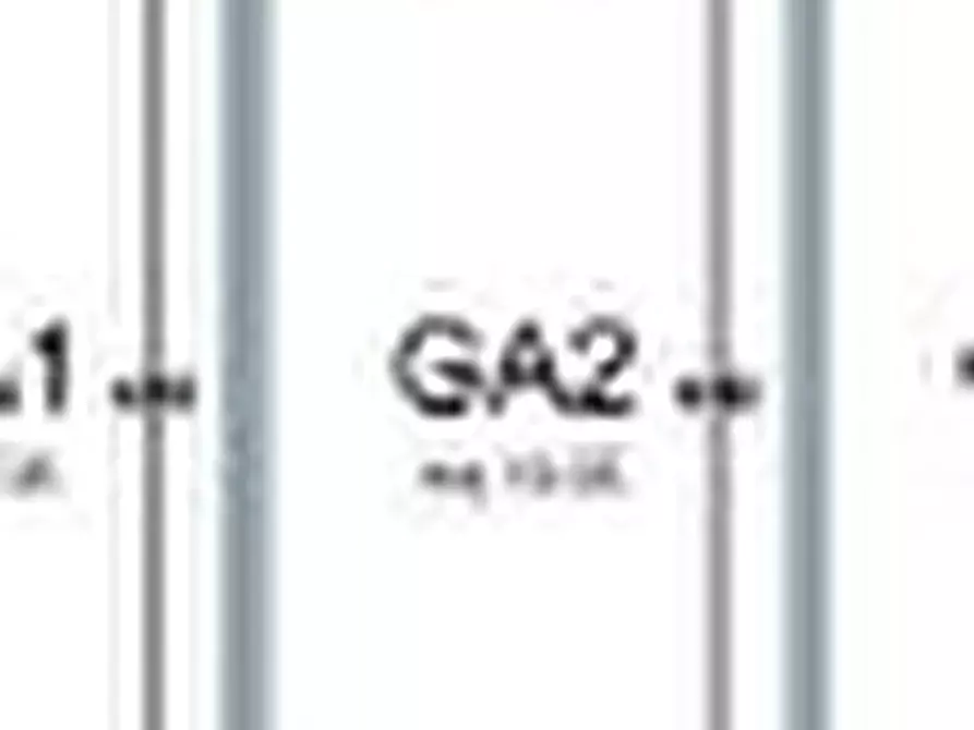 Immagine 20 di Appartamento in vendita  in Via Giacomo Matteotti a Limena