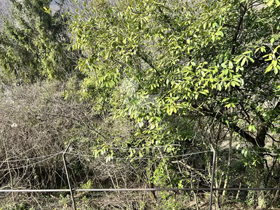 Immagine 25 di Villa in vendita  in Via Gabrin,11 a Tarcento