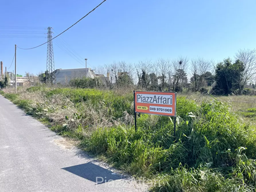 Immagine 4 di Terreno in vendita  in via Dante Alighieri a Pontelongo