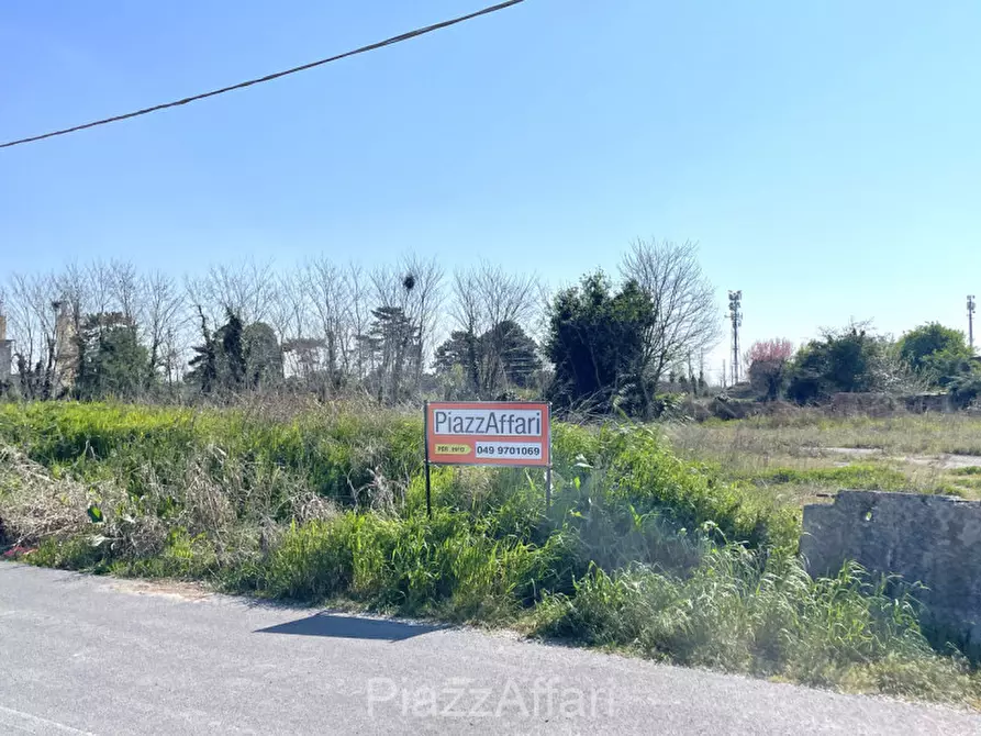 Immagine 6 di Terreno in vendita  in via Dante Alighieri a Pontelongo