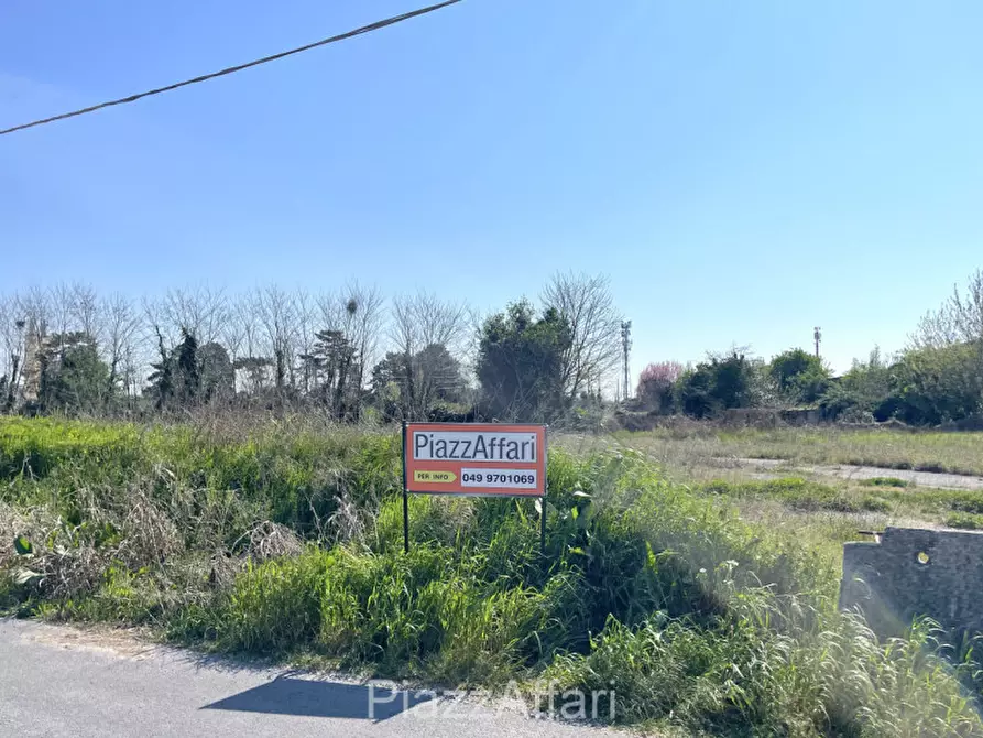 Immagine 8 di Terreno in vendita  in via Dante Alighieri a Pontelongo